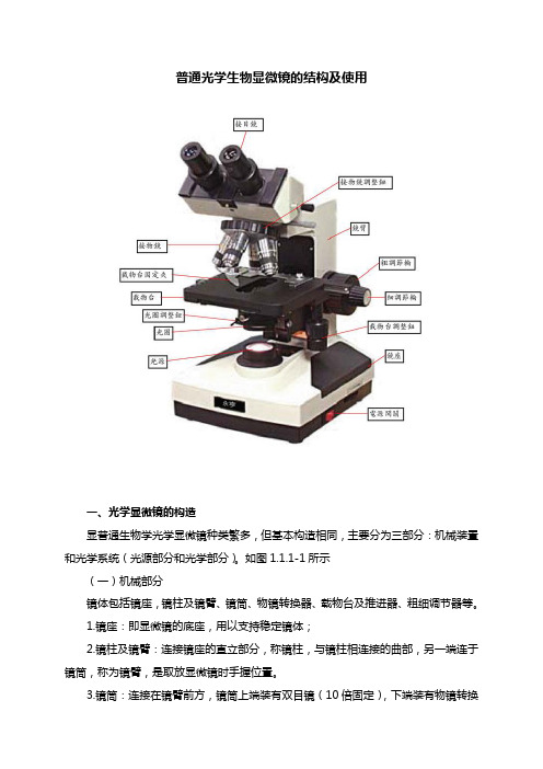 普通光学显微镜结构及使用方法