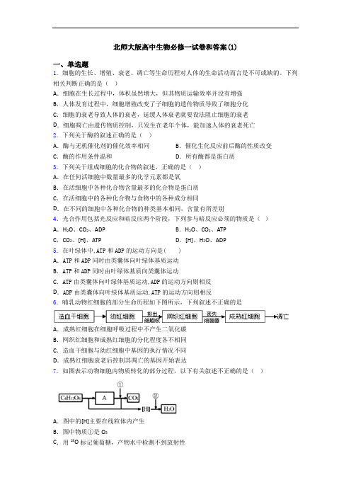 北师大版高中生物必修一试卷和答案(1)