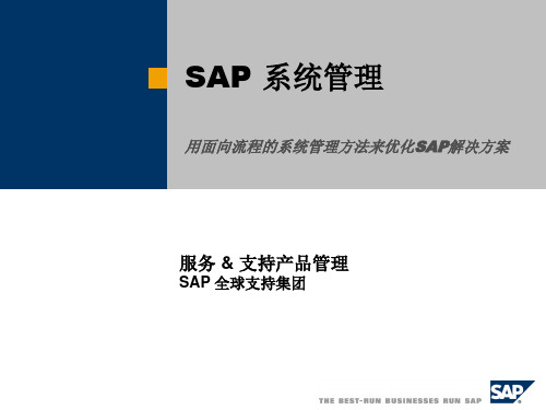 SAP 系统管理Sysadmin_Standard_CN