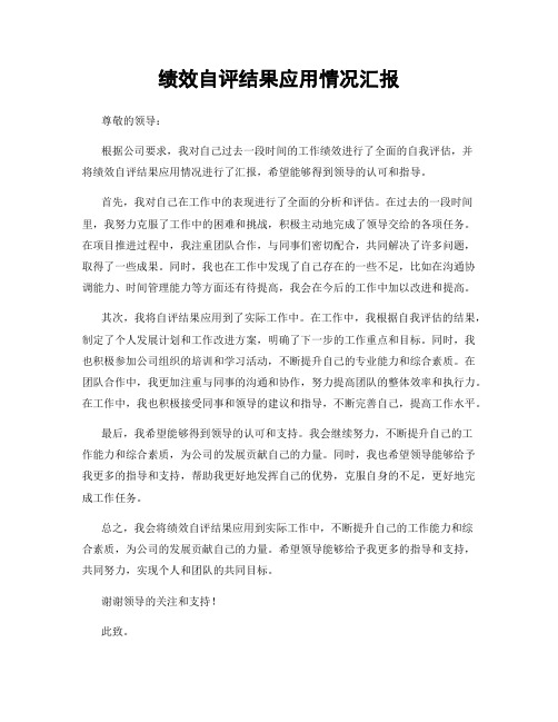 绩效自评结果应用情况汇报