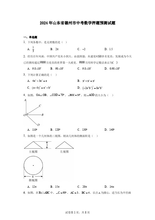 2024年山东省德州市中考数学押题预测试题