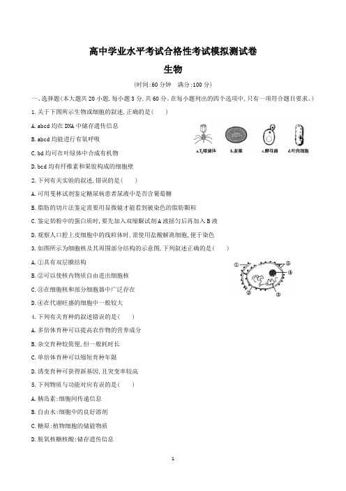 高二合格性考试生物试卷含答案(word版)