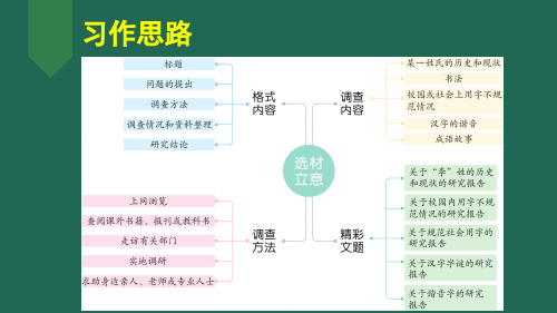 部编版五年级下册写简单的研究报告优秀例文