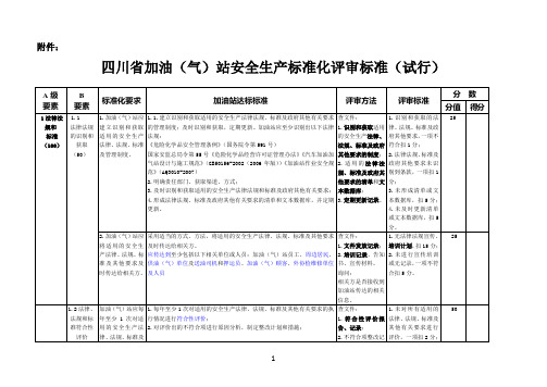 四川省汽车加油(气)站安全生产标准化评审标准(试行)