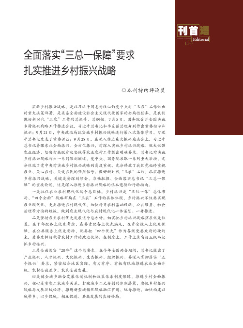 全面落实“三总一保障”要求扎实推进乡村振兴战略