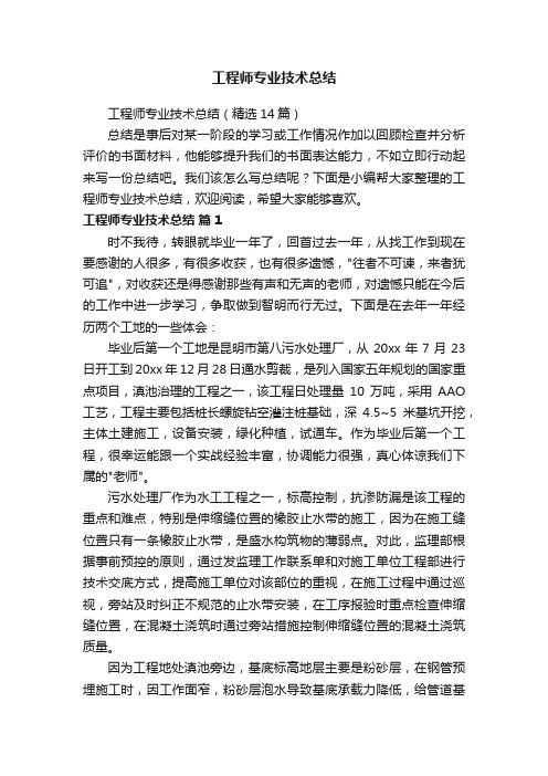 工程师专业技术总结