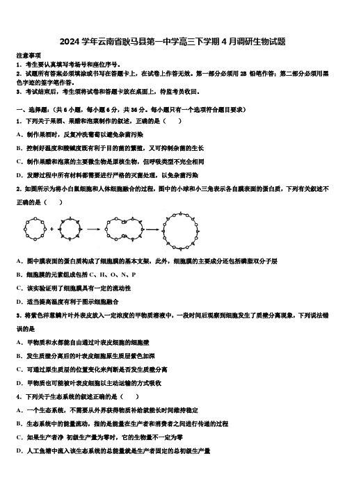 2024学年云南省耿马县第一中学高三下学期4月调研生物试题含解析