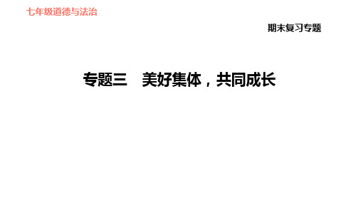 七年级下册道德与法治专题三 美好集体,共同成长