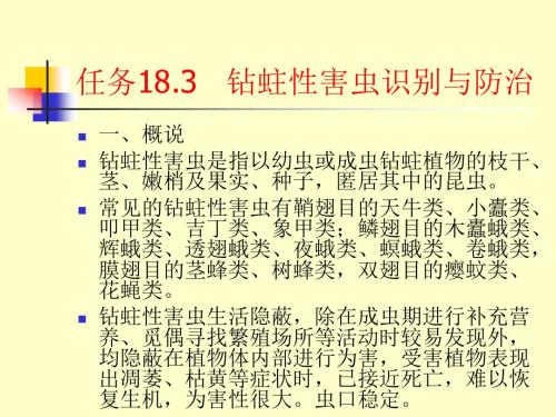 观赏植物病虫害识别与防治_钻蛀性害虫识别与防治