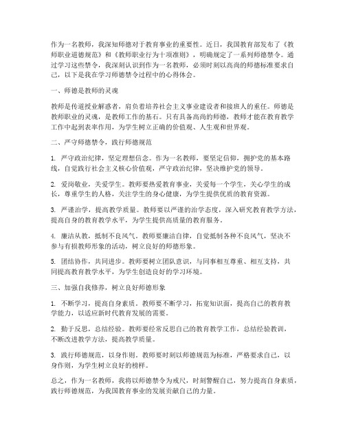 教师师德禁令心得体会