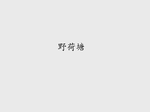 长春版小学四年级语文下册野荷塘_课件1