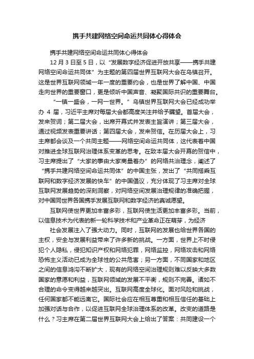 携手共建网络空间命运共同体心得体会