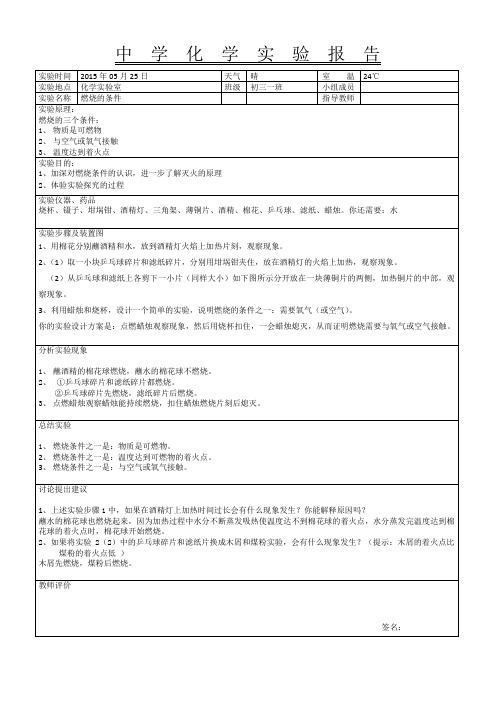 中学化学实验报告样本(实验3)