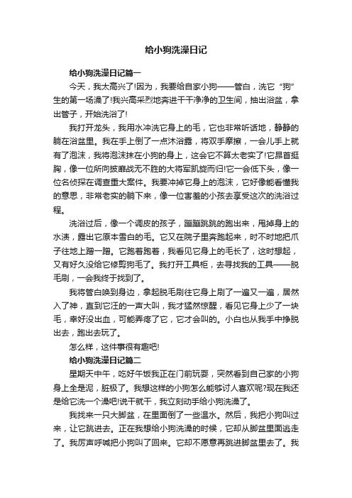 给小狗洗澡日记