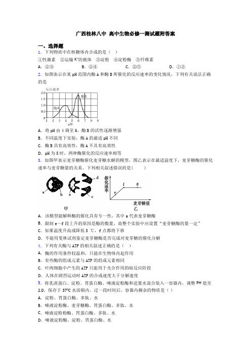 广西桂林八中 高中生物必修一测试题附答案