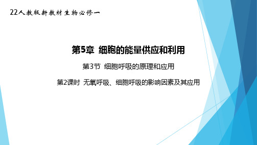 22人教版新教材生物必修一课件--无氧呼吸、细胞呼吸的影响因素及其应用