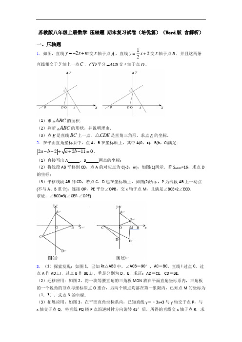 苏教版八年级上册数学 压轴题 期末复习试卷(培优篇)(Word版 含解析)