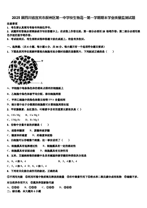 2025届四川省宜宾市叙州区第一中学校生物高一第一学期期末学业质量监测试题含解析