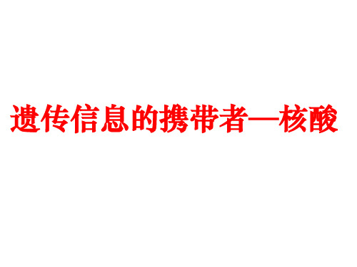 优质课 2018届人教版高三生物一轮复习(必修一)课件 4.遗传信息的携带者—核酸 23张)