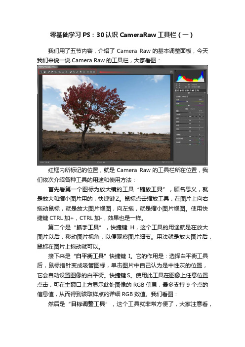 零基础学习PS：30认识CameraRaw工具栏（一）