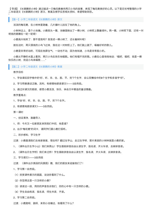 小学二年级语文《长眼睛的小树》原文、教案及教学反思