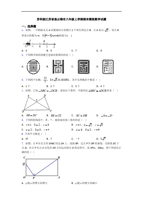 苏科版江苏省连云港市八年级上学期期末模拟数学试题