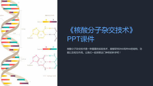 《核酸分子杂交技术》课件