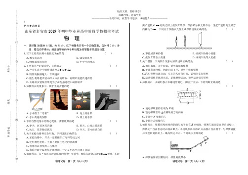 2019年山东省泰安中考物理试卷