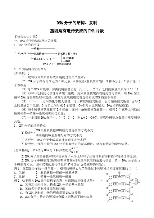 DNA分子的结构、复制-教研教案-高中生物