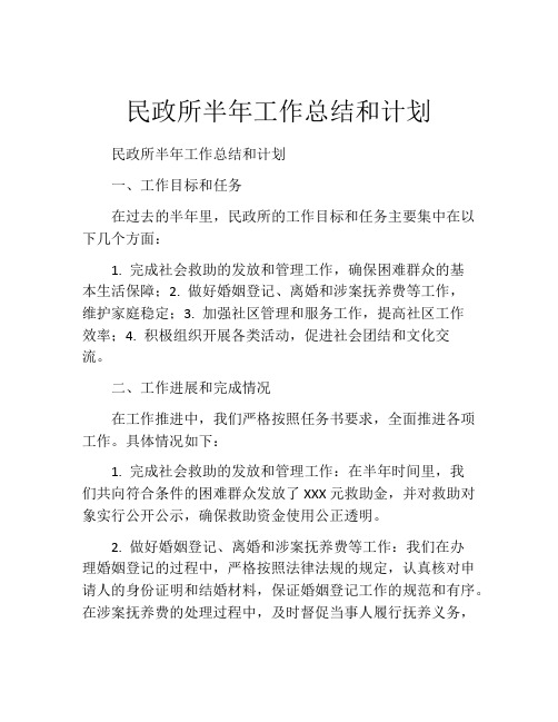 民政所半年工作总结和计划