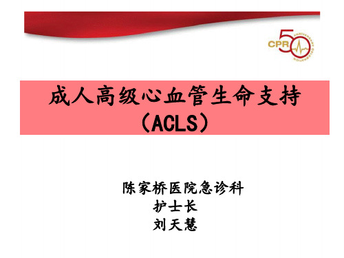 成人高级心血管生命支持(ACLS)方案