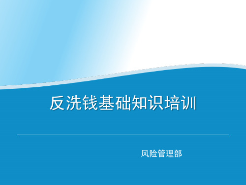 最新银行反洗钱基础知识培训20170824教材
