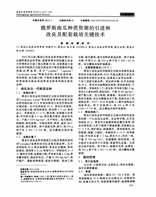 俄罗斯南瓜种质资源的引进和改良及配套栽培关键技术