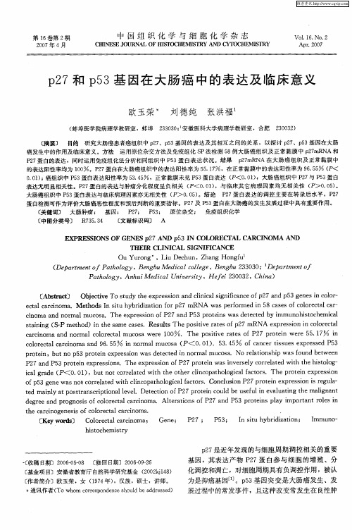 p27和p53基因在大肠癌中的表达及临床意义