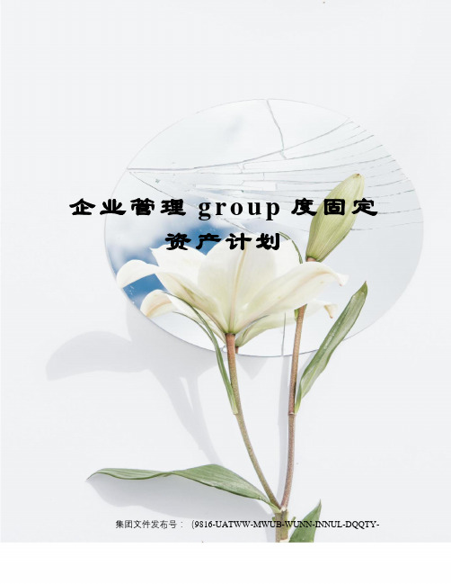 企业管理group度固定资产计划