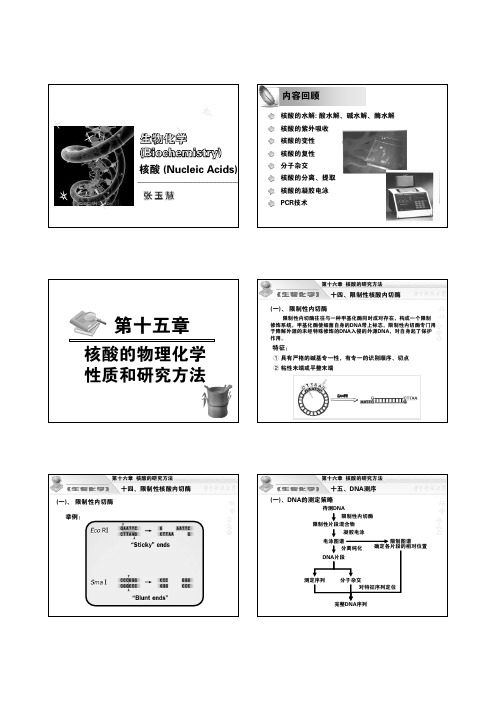 【生物化学】核酸 (3)