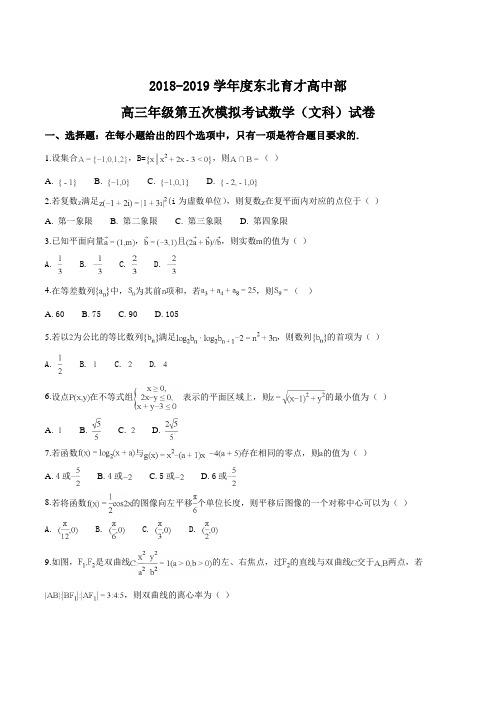 【全国百强校】辽宁省沈阳市东北育才学校2019届高三第五次模拟数学(文)试题(原卷版)