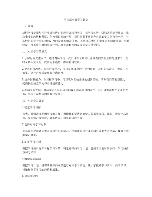 项目部对标学习计划