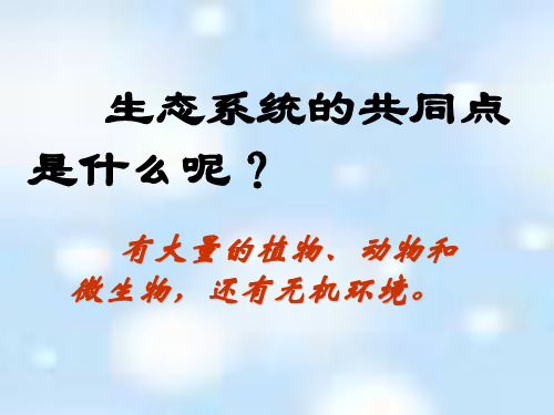 生态系统的结构、功能方案