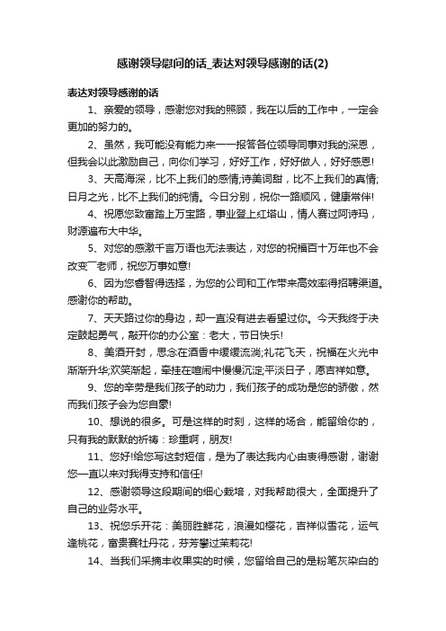 感谢领导慰问的话_表达对领导感谢的话（2）