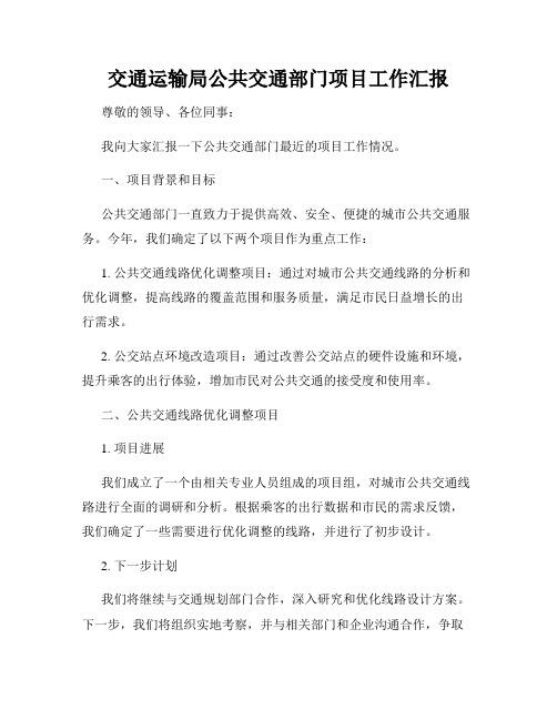 交通运输局公共交通部门项目工作汇报