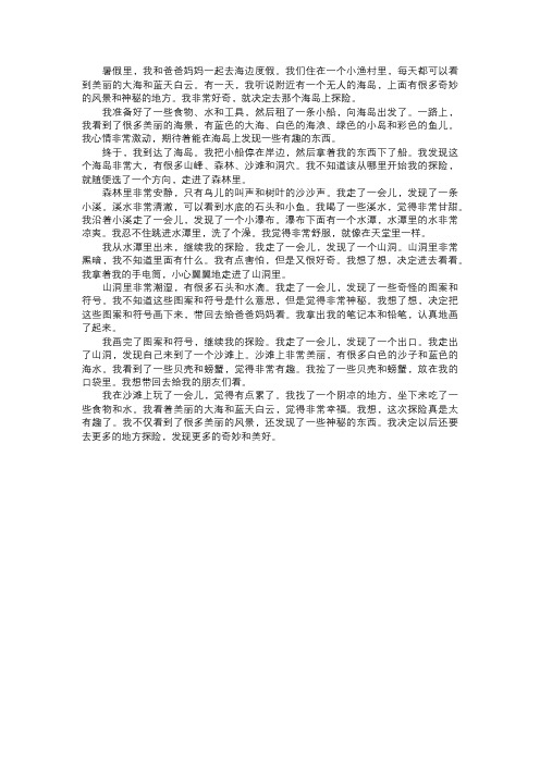 我在海岛上的探险故事