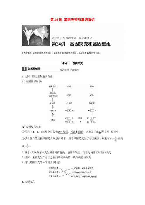 (全国通用)2017版高考生物一轮复习 第七单元 生物的变异、育种和进化 第24讲 基因突变和基因重组 新人教版