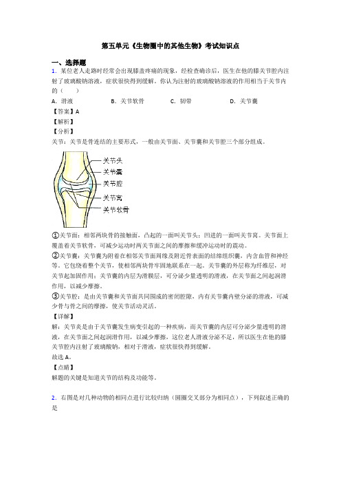 第五单元《生物圈中的其他生物》考试知识点