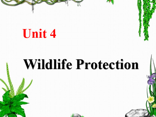 高中英语人教新课标版必修二Unit 4 Wildlife protection reading课件