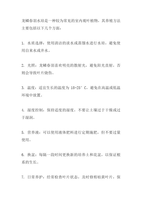 龙鳞春羽水培的养殖方法和注意事项