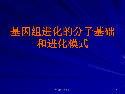 基因组学 课件 10.分子进化1