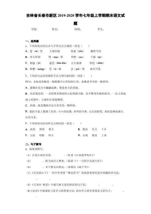 吉林省长春市新区2019~2020学年七年级上学期期末语文试题(含答案解析)