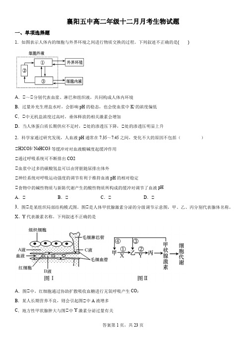 精品解析：湖北省襄阳市第五中学2022-2023学年高二上学期12月月考生物试题 (1)