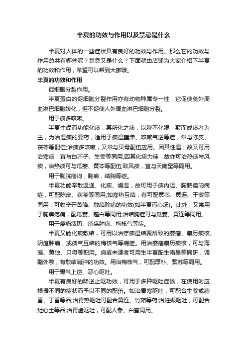 半夏的功效与作用以及禁忌是什么